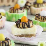 Mini Eierlikör Osternest-Cheesecakes