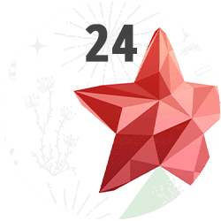 Online Adventskalender Türchen 24