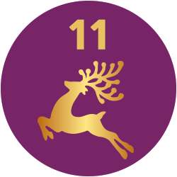 Adventskalender Meine Backbox