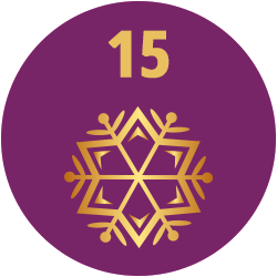 Adventskalender Meine Backbox