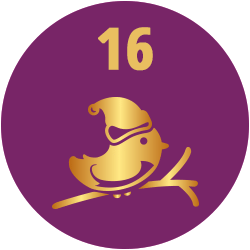 Adventskalender Meine Backbox